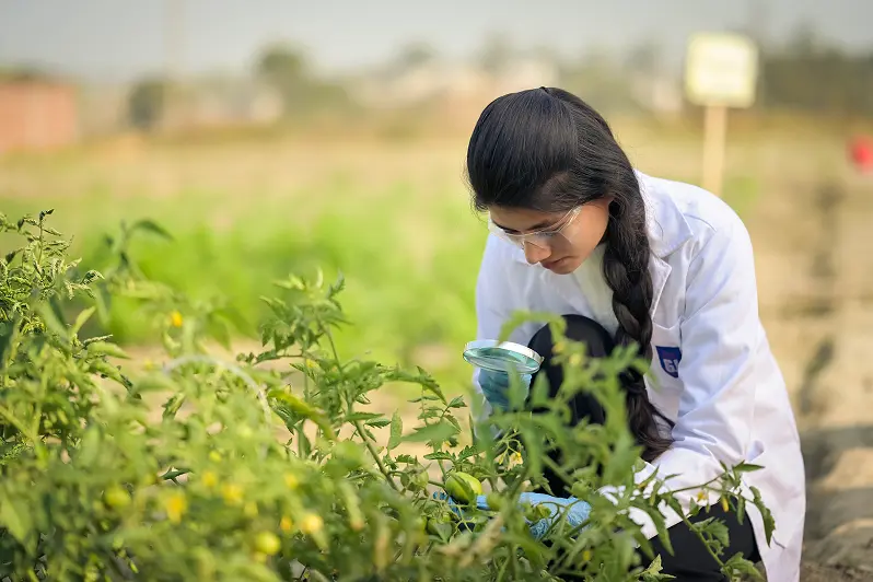 E: Agricultural and Veterinary Science