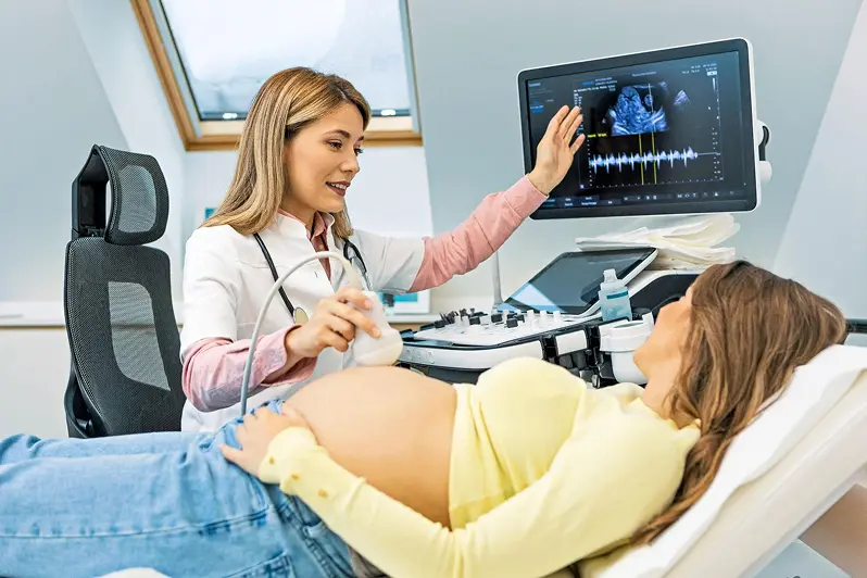 C: Gynecology and Obstetrics
