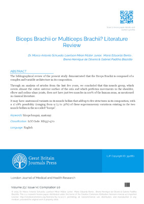 Biceps Brachii or Multiceps Brachii? Literature Review