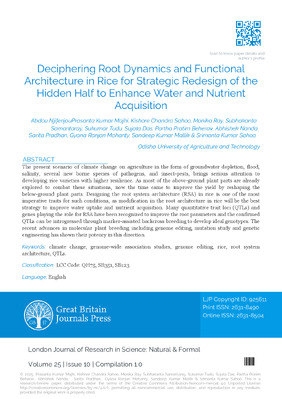 Deciphering Root Dynamics and Functional Architecture in Rice for Strategic Redesign of the Hidden Half to Enhance Water and Nutrient Acquisition