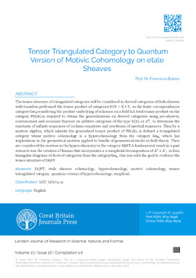 Tensor Triangulated Category to Quantum Version of Motivic Cohomology on Etale Sheaves