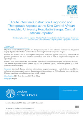 Acute intestinal Obstruction: Diagnostic and Therapeutic Aspects at the Sino Central African Friendship University Hospital in Bangui, Central African Republic