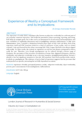 Experience of Reality a Conceptual Framework and its Implications